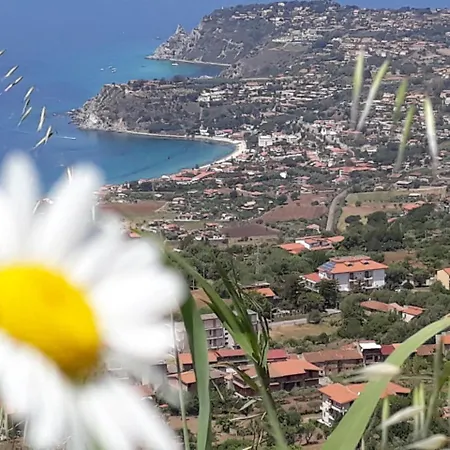 Monte Poro